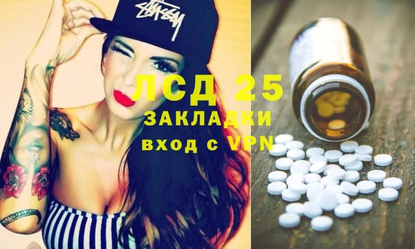 крисы Алексин