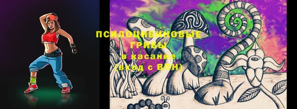 крисы Алексин
